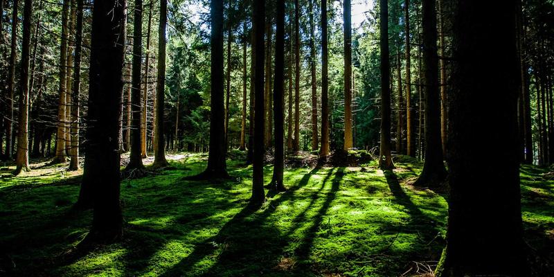 杭州学区房装修指南：天工装饰教您如何用极简设计兼顾儿童成长与空间功能