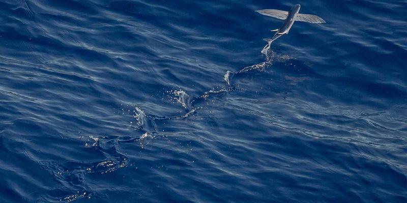 杭州智能家居装修方案设计：天工装饰如何用极简设计重塑未来生活