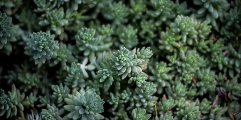 杭州老房翻新改造难点解析：天工装饰如何用极简设计焕新空间