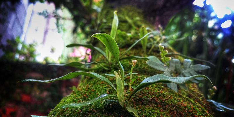 杭州装修后除甲醛最有效方法：专业治理与日常维护全攻略 | 天工装饰工程指南