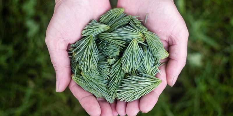 杭州装修环保材料选购指南：专业装修公司与室内设计如何打造健康居住空间