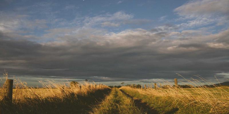 杭州装修风格流行趋势解析：2024年最受欢迎的极简设计与室内设计新风向