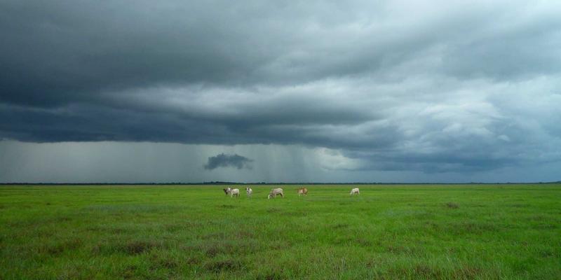 杭州装饰20年：极简设计如何重塑现代家居空间