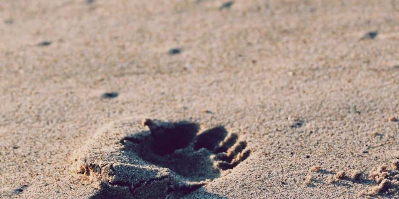 杭州装饰71：探索极简设计在装饰工程中的高级实践