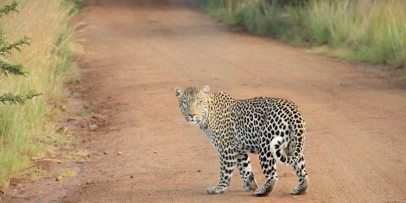 杭州装饰公司口碑对比指南：如何从用户评价中筛选靠谱的极简设计服务商